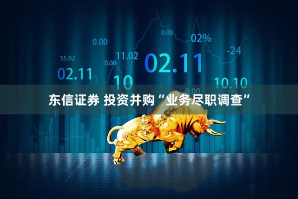 东信证券 投资并购“业务尽职调查”