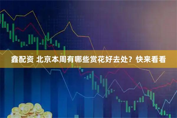 鑫配资 北京本周有哪些赏花好去处？快来看看