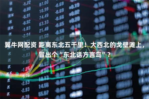 翼牛网配资 距离东北五千里！大西北的戈壁滩上，冒出个“东北话方言岛”？